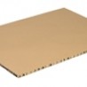 Plaque carton  DF/PC  595 x 395