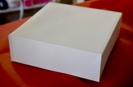 Boîte pâtissière blanche carrée sans impression 25 x 25 x 8 MIF