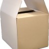 Carton double cannelure 387X287X290 mm  semi-AUTO